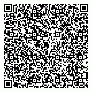 vCard 79208004063