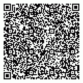 vCard 79208004117