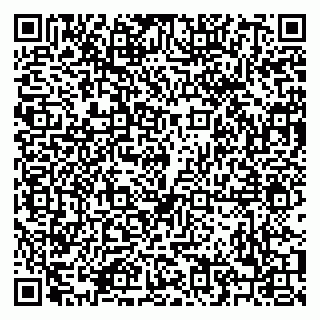 vCard 79208004133