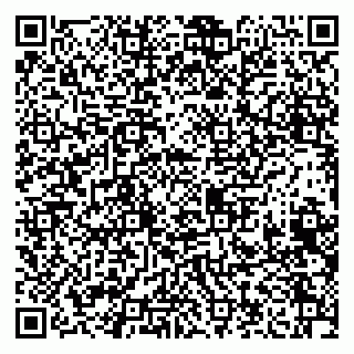 vCard 79208004173
