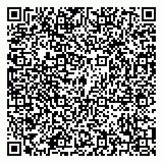 vCard 79208004317