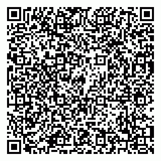 vCard 79208004333