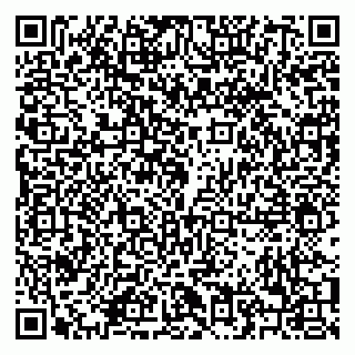vCard 79208004413
