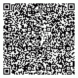 vCard 79208004919