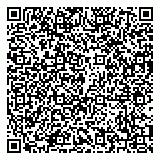 vCard 79208004933