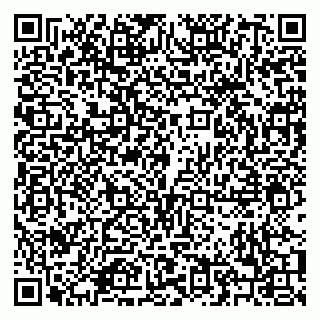 vCard 79208005213