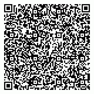 vCard 79208005217