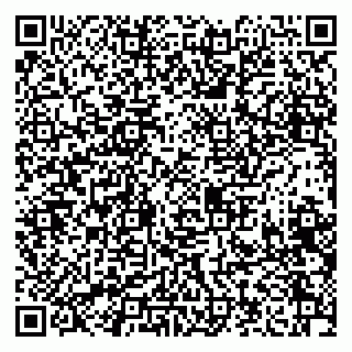vCard 79208005303