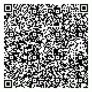 vCard 79208005329