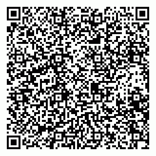 vCard 79208005332