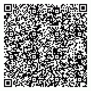 vCard 79208005341