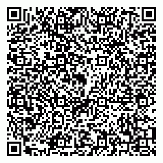 vCard 79208005403