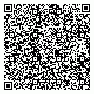 vCard 79208006011