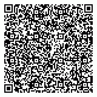 vCard 79208006035