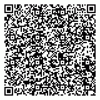 vCard 79208006383