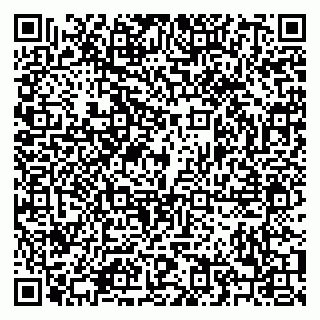 vCard 79208006387