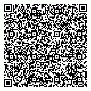 vCard 79209500019