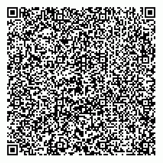 vCard 79209500020