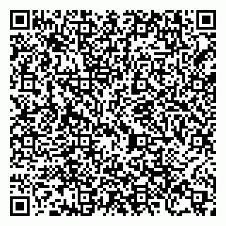 vCard 79209500032