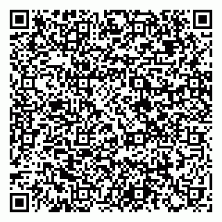 vCard 79209500063