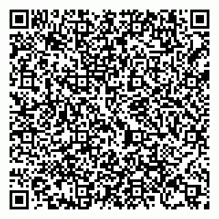 vCard 79209500083