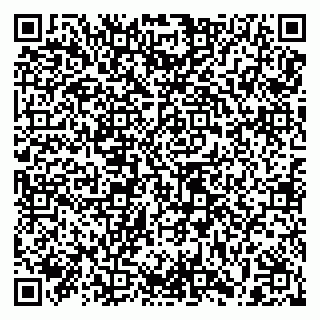 vCard 79209500132