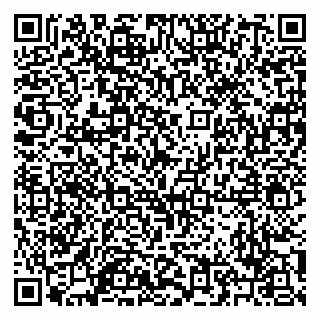 vCard 79209500174