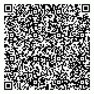 vCard 79209500201