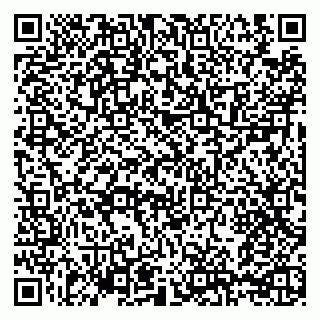 vCard 79209500208