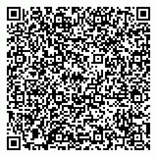 vCard 79209500209