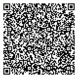 vCard 79209500229
