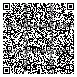 vCard 79209500251