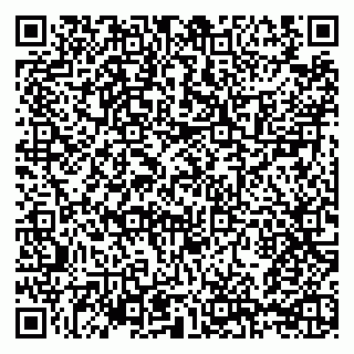 vCard 79209500295