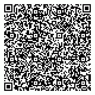 vCard 79209500307