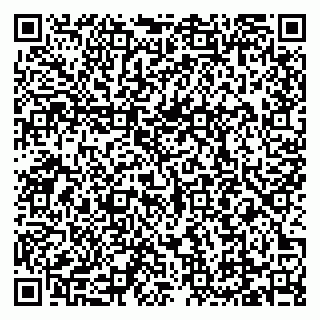 vCard 79209500317