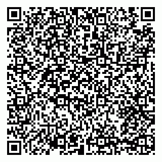vCard 79209500324