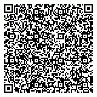 vCard 79209500381