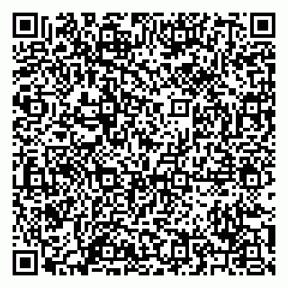 vCard 79209500393