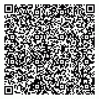 vCard 79212345209