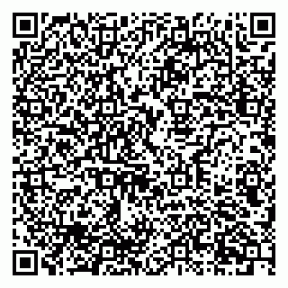vCard 79212345411
