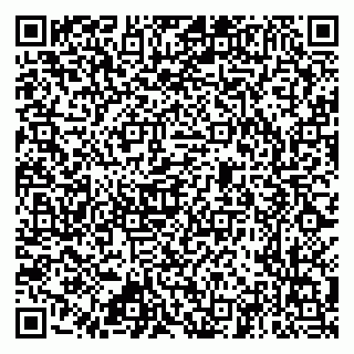 vCard 79212345413