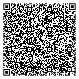 vCard 79212345532