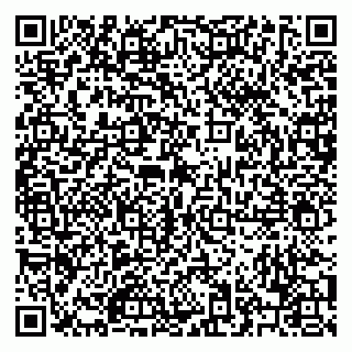 vCard 79220400217