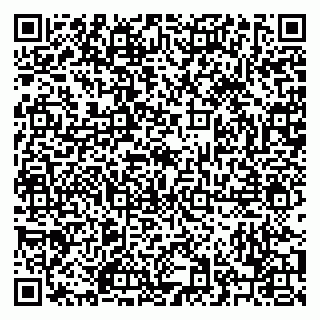 vCard 79220400303