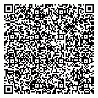 vCard 79220400381