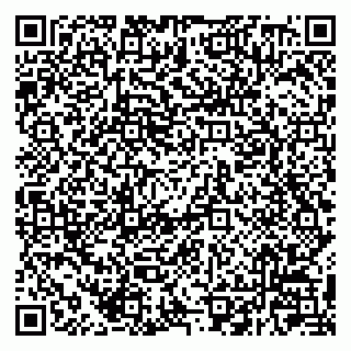 vCard 79220800095