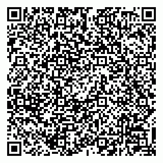 vCard 79220800131