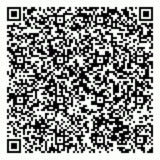 vCard 79220800173