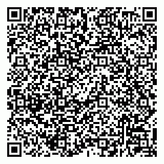 vCard 79220800219