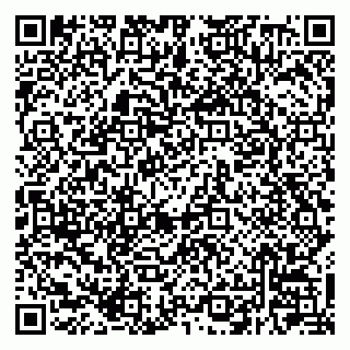 vCard 79220800275